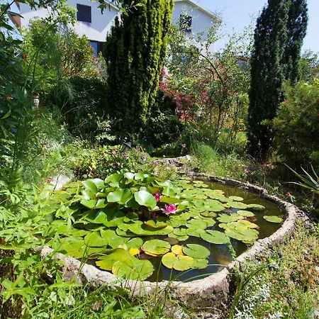 Spacious With Terrace 450 M Distant From The